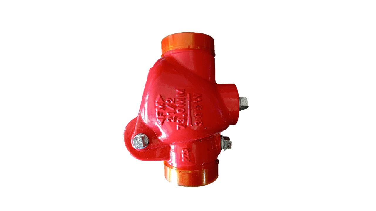 VALVULA CHECK RANURADA DE 2 1/2"